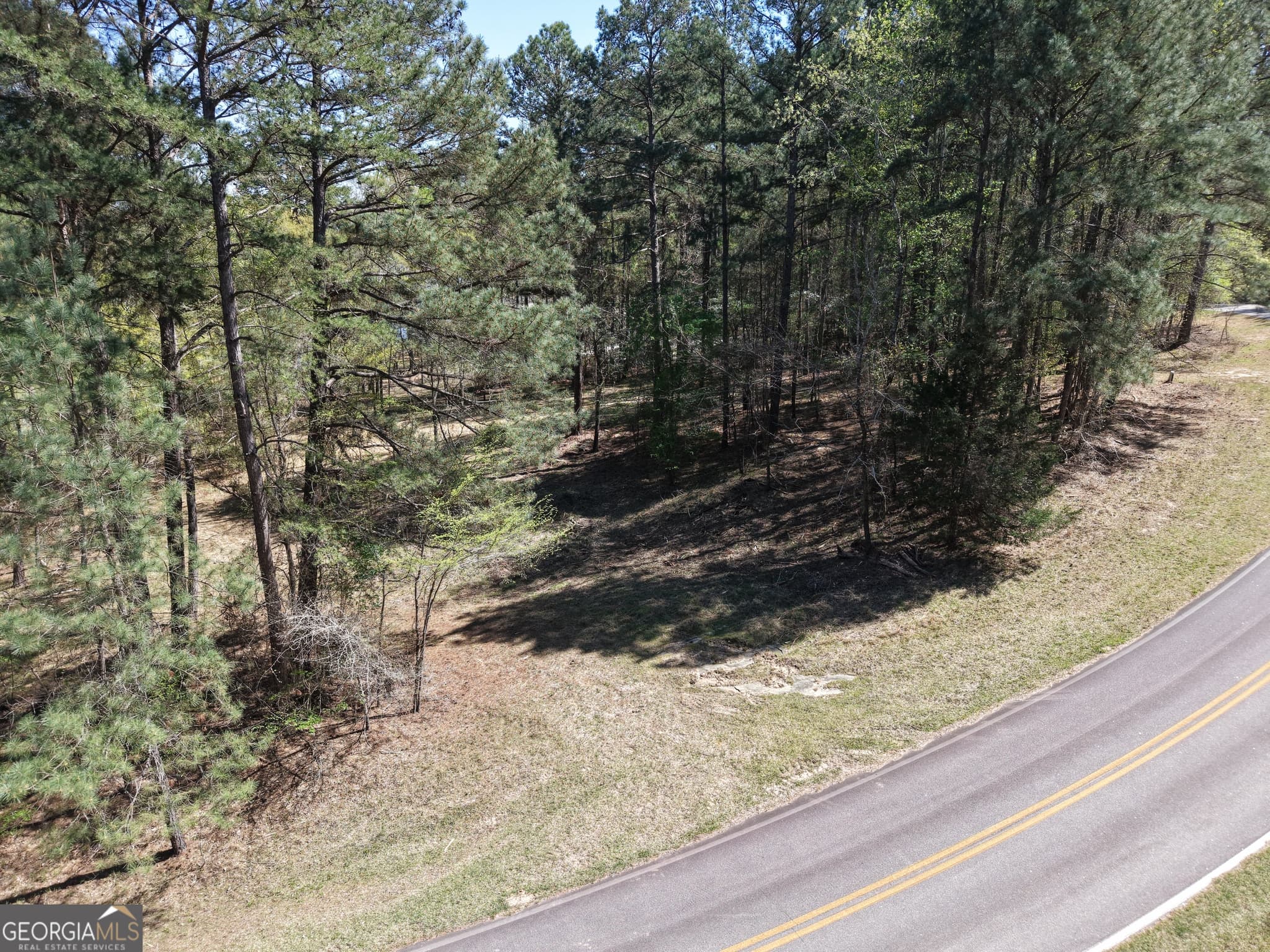 residential lot for sale at 536 Rockville Springs Drive, Eatonton, GA 31024 — photo 4