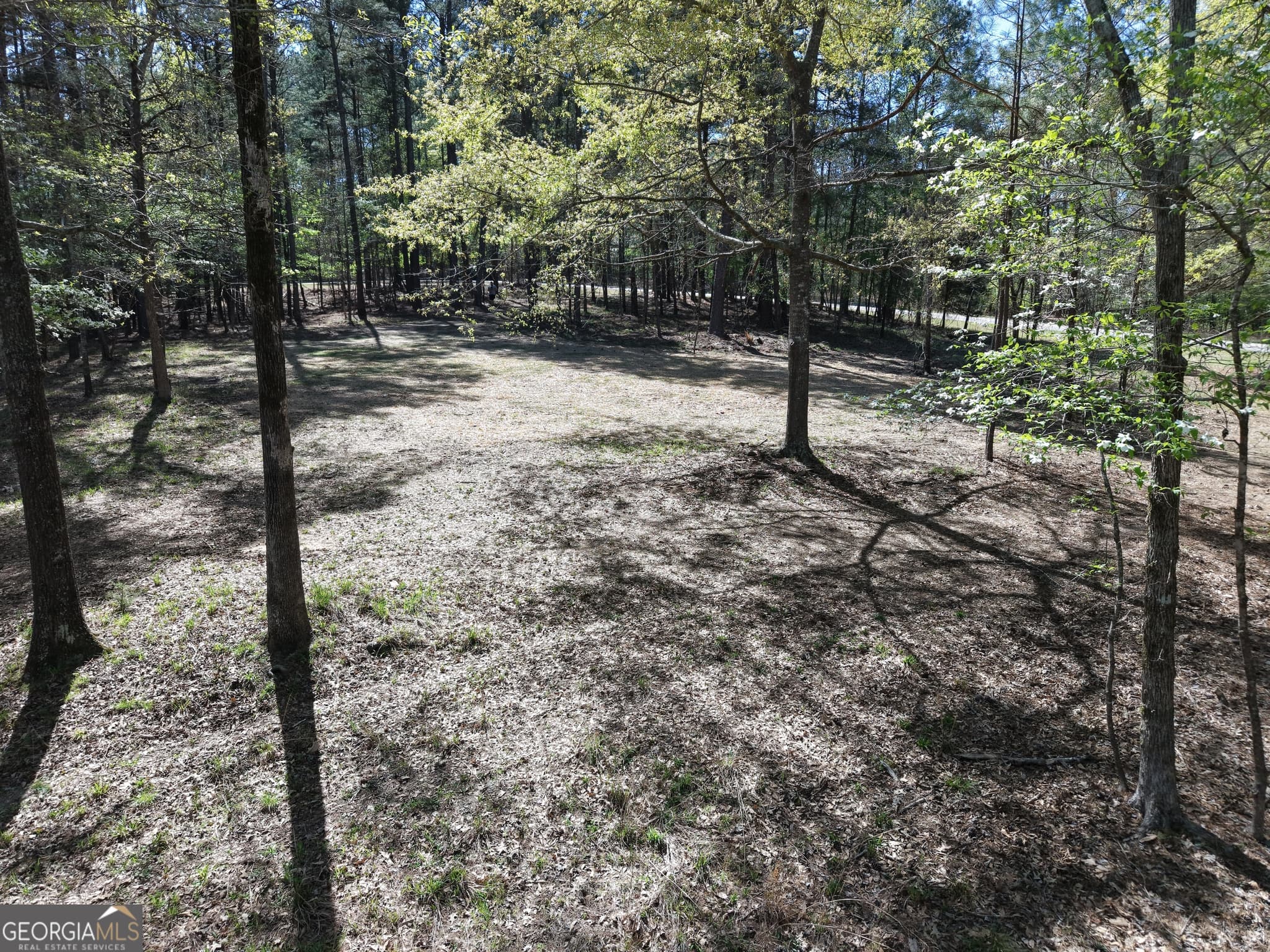 residential lot for sale at 536 Rockville Springs Drive, Eatonton, GA 31024 — photo 8