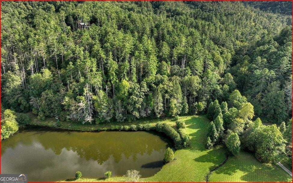 residential lot for sale at 0 Walker Ridge Way, Mineral Bluff, GA 30559 — photo 2