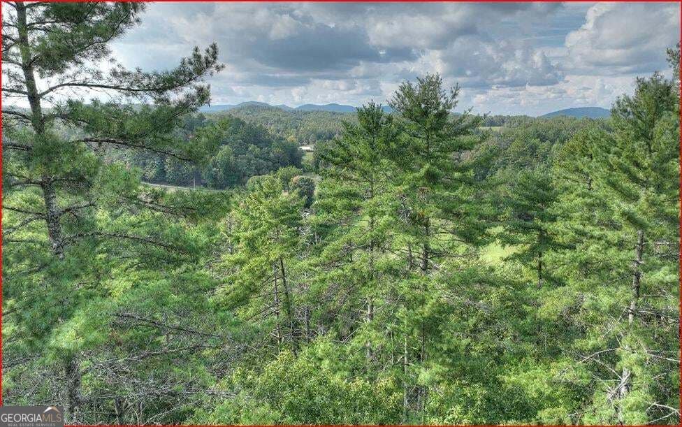 residential lot for sale at 0 Walker Ridge Way, Mineral Bluff, GA 30559 — photo 3