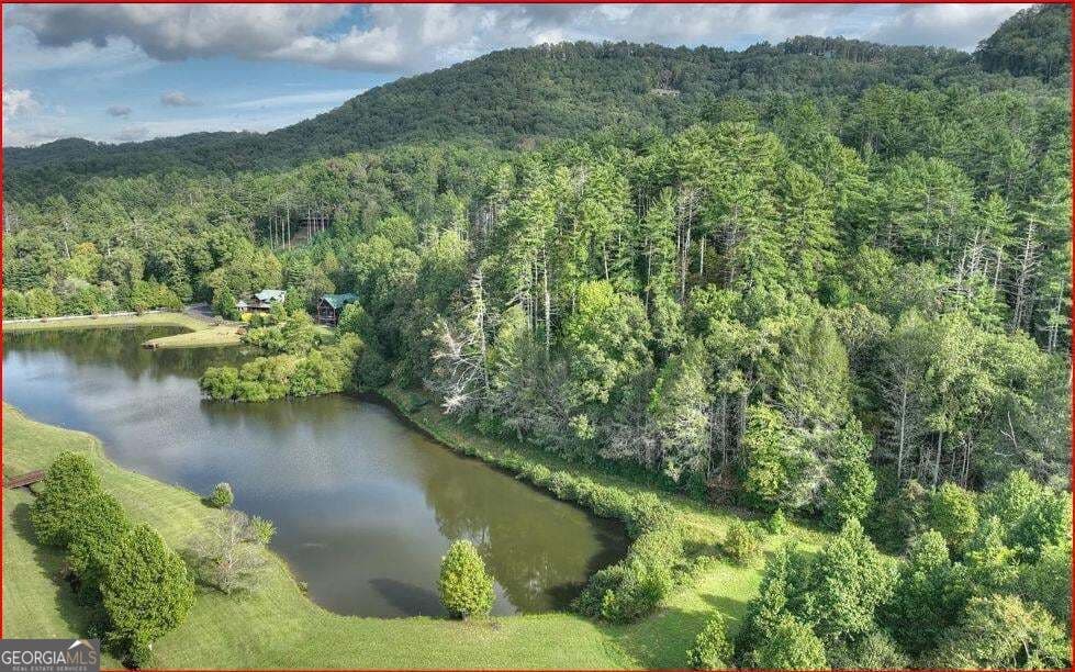residential lot for sale at 0 Walker Ridge Way, Mineral Bluff, GA 30559 — photo 1 of 6