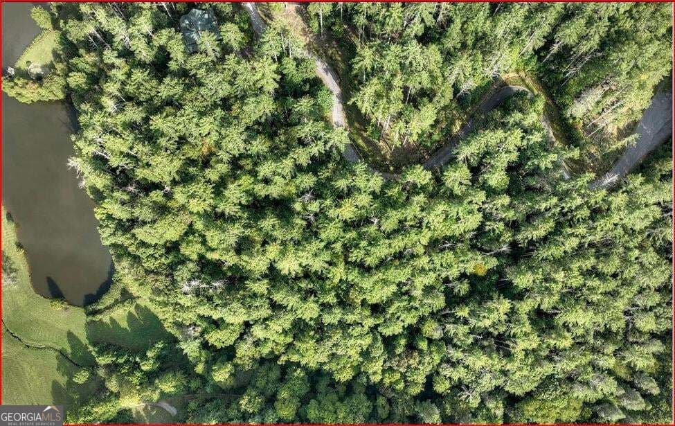 residential lot for sale at 0 Walker Ridge Way, Mineral Bluff, GA 30559 — photo 4