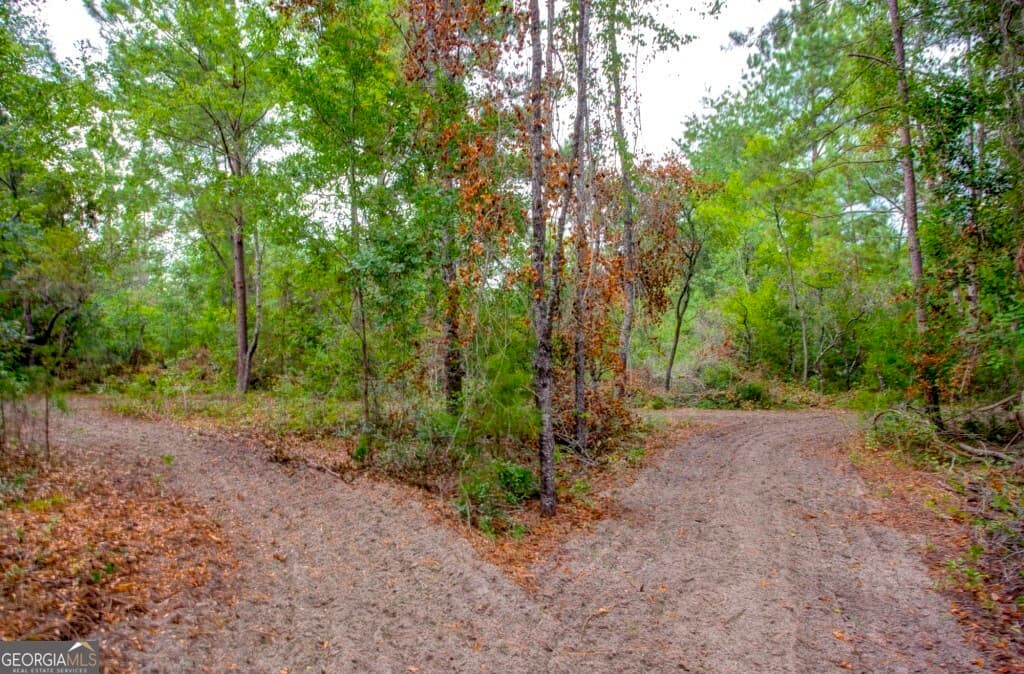 agriculture sold at 02 Big Horse Creek Road, Jacksonville, GA 31544