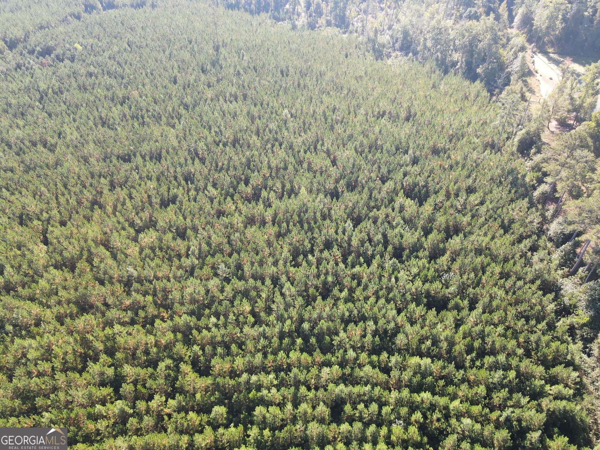 unimproved land for sale at 0 Kilpatrick Road TRACT 2A, Eatonton, GA 31024 — photo 2