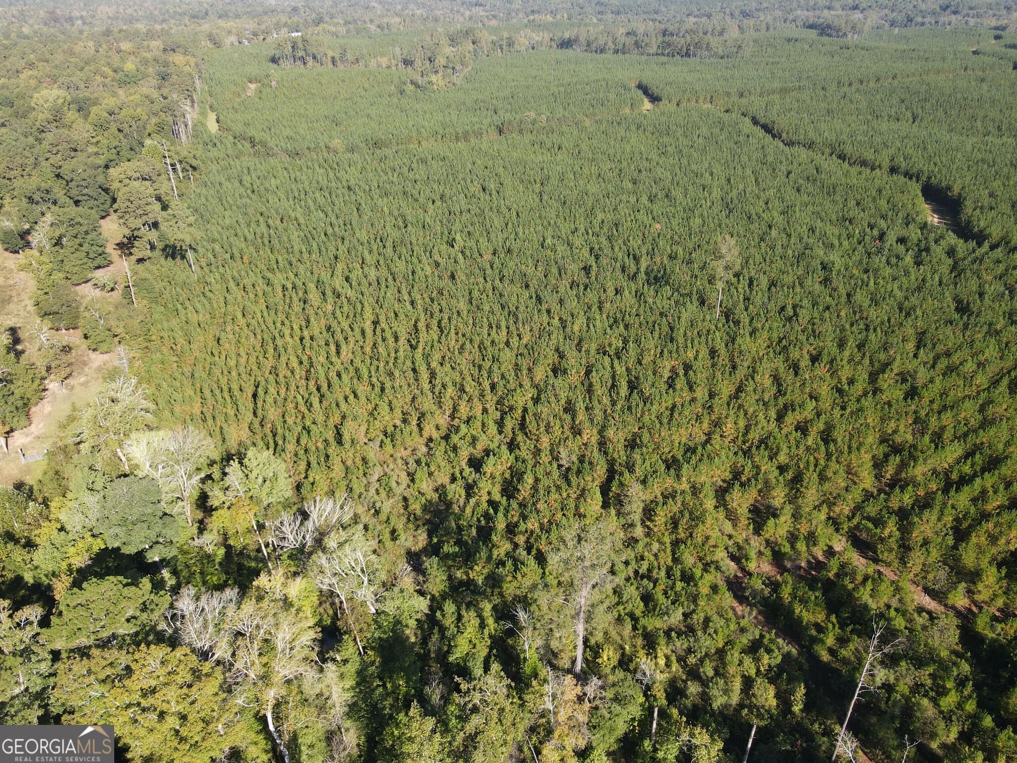 unimproved land for sale at 0 Kilpatrick Road TRACT 2A, Eatonton, GA 31024 — photo 3