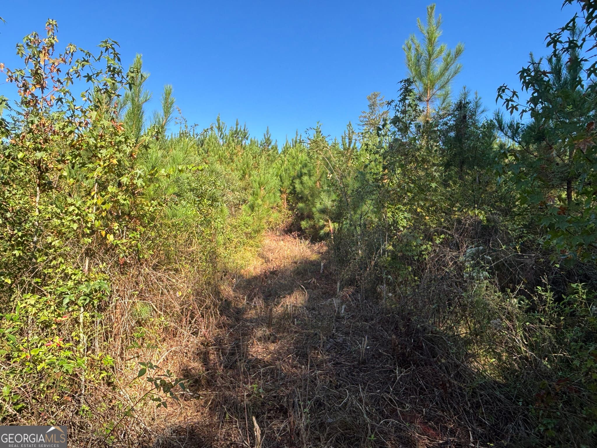 unimproved land for sale at 0 Kilpatrick Road TRACT 2A, Eatonton, GA 31024 — photo 5