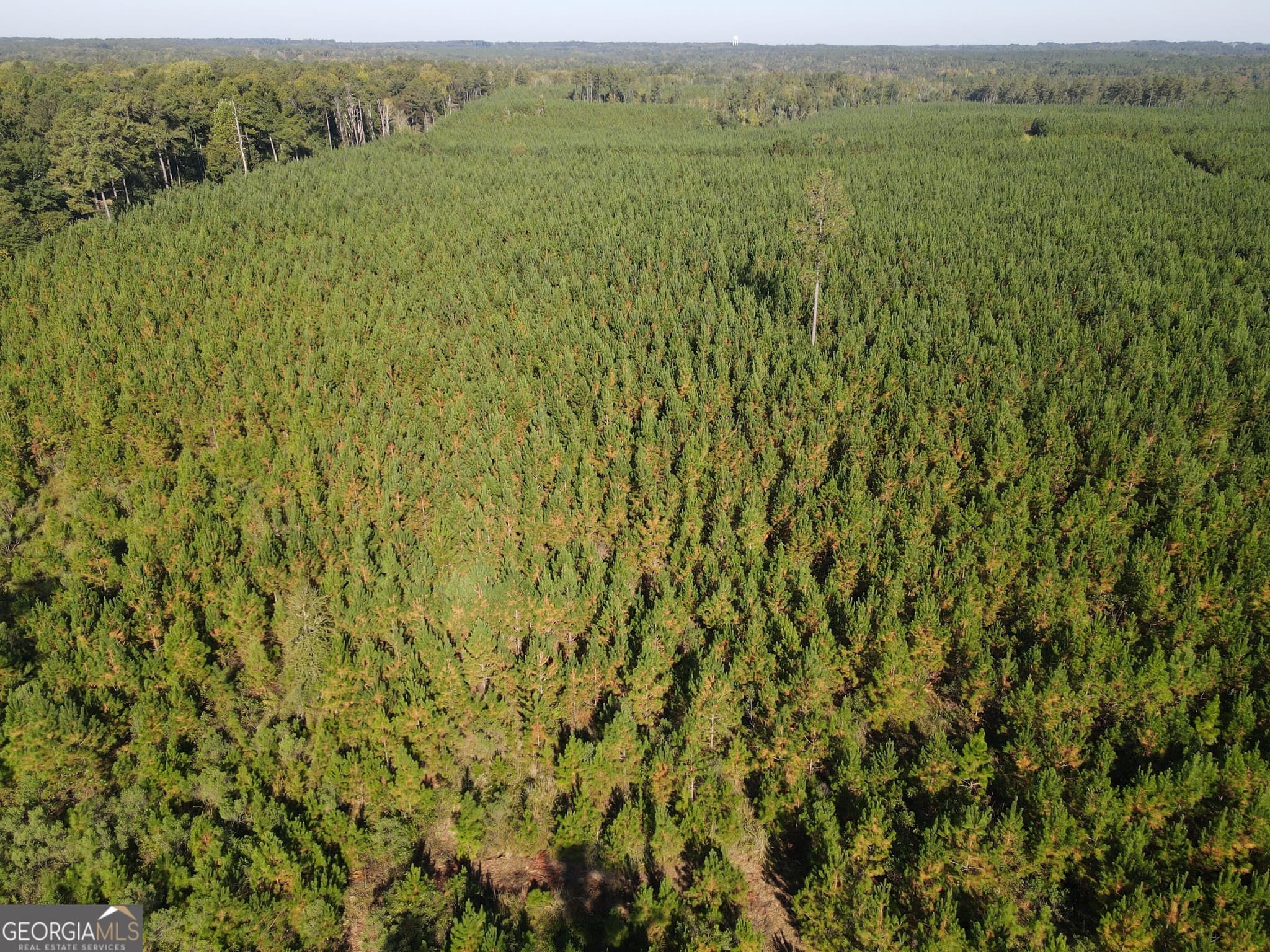 unimproved land for sale at 0 Kilpatrick Road TRACT 2A, Eatonton, GA 31024 — photo 4
