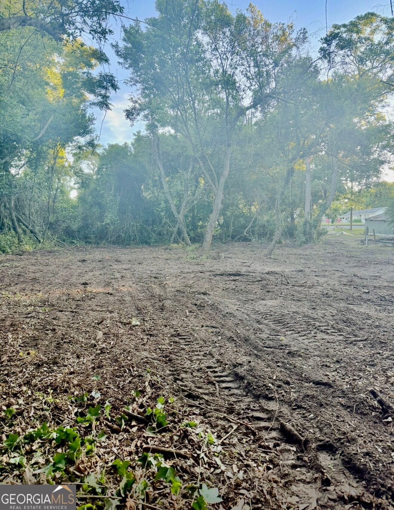 residential lot for sale at 0 Ada, Eastman, GA 31023 — photo 2