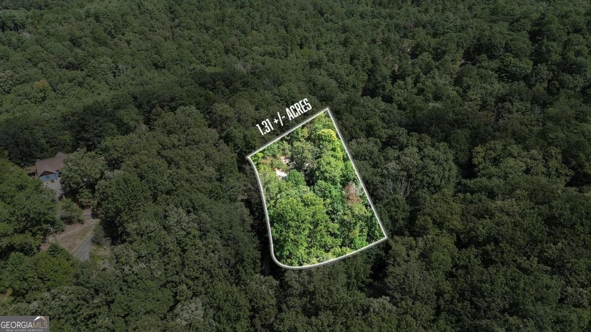 3 bedroom, 2.5 bathroom, 1,501 sq ft cabin,single family residence for sale at 224 Dragon Tree Lane, Lakemont, GA 30552 — photo 3