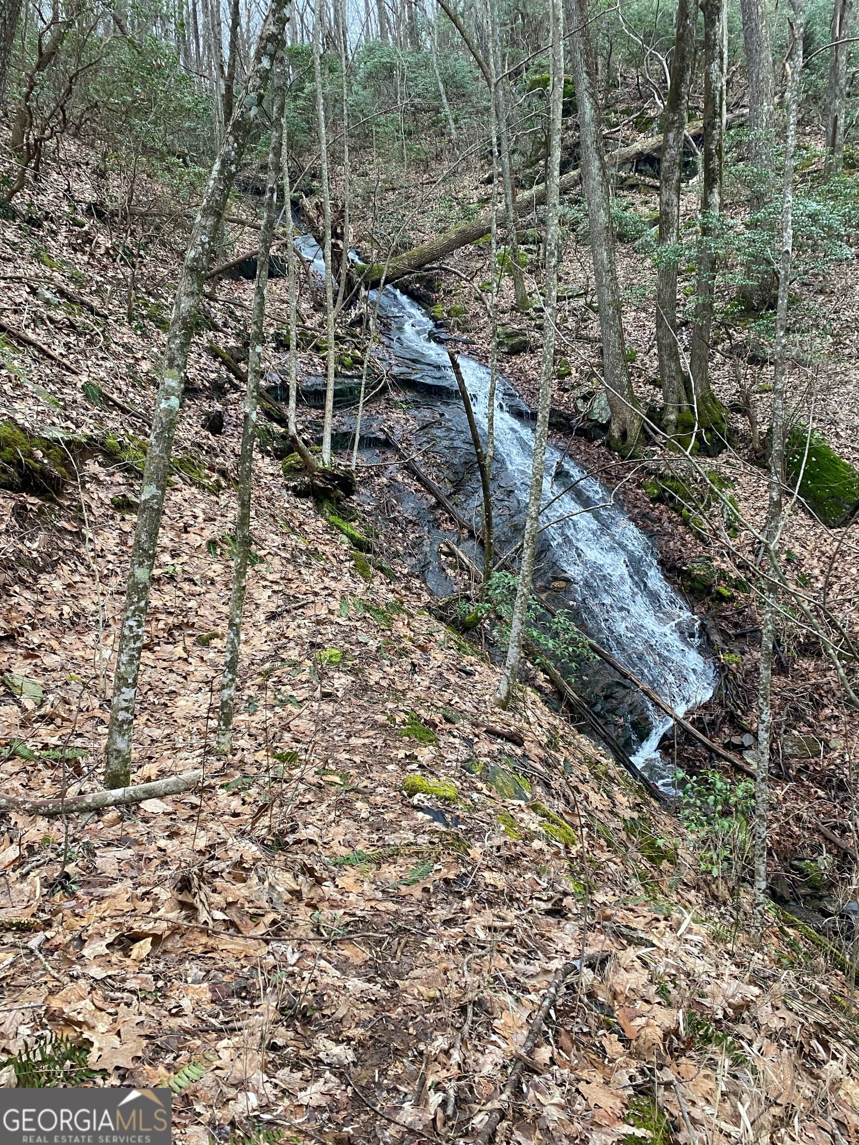 residential lot for sale at 1298 Cold Stream Trail, Jasper, GA 30143 — photo 3