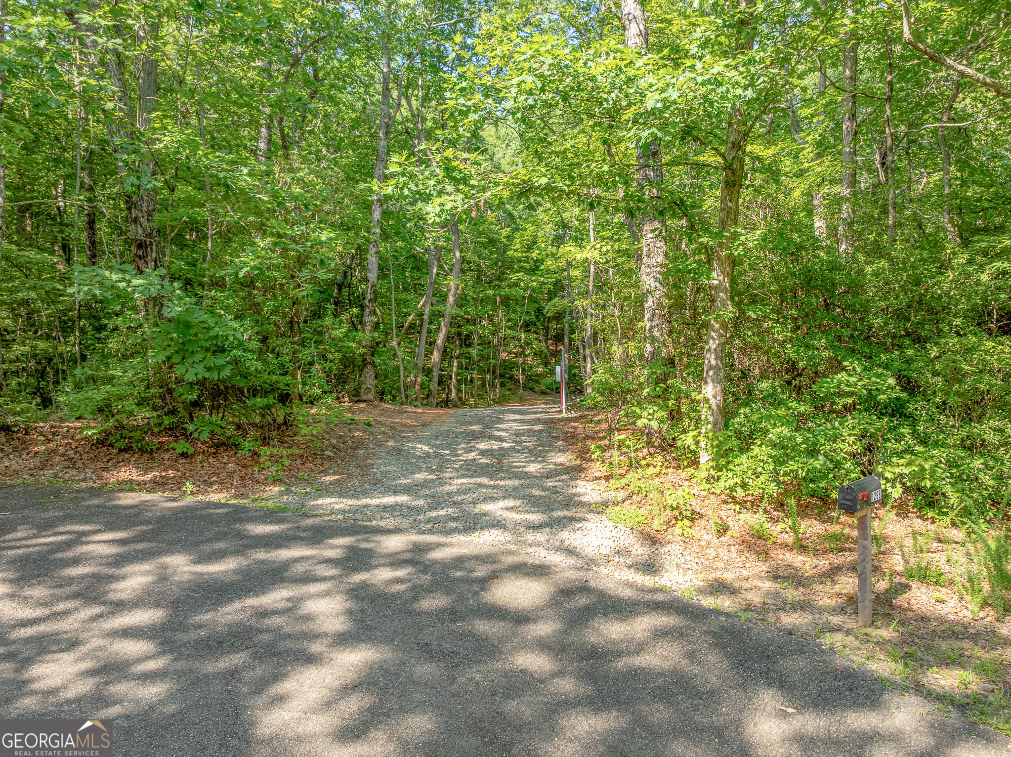 residential lot for sale at 1298 Cold Stream Trail, Jasper, GA 30143 — photo 10