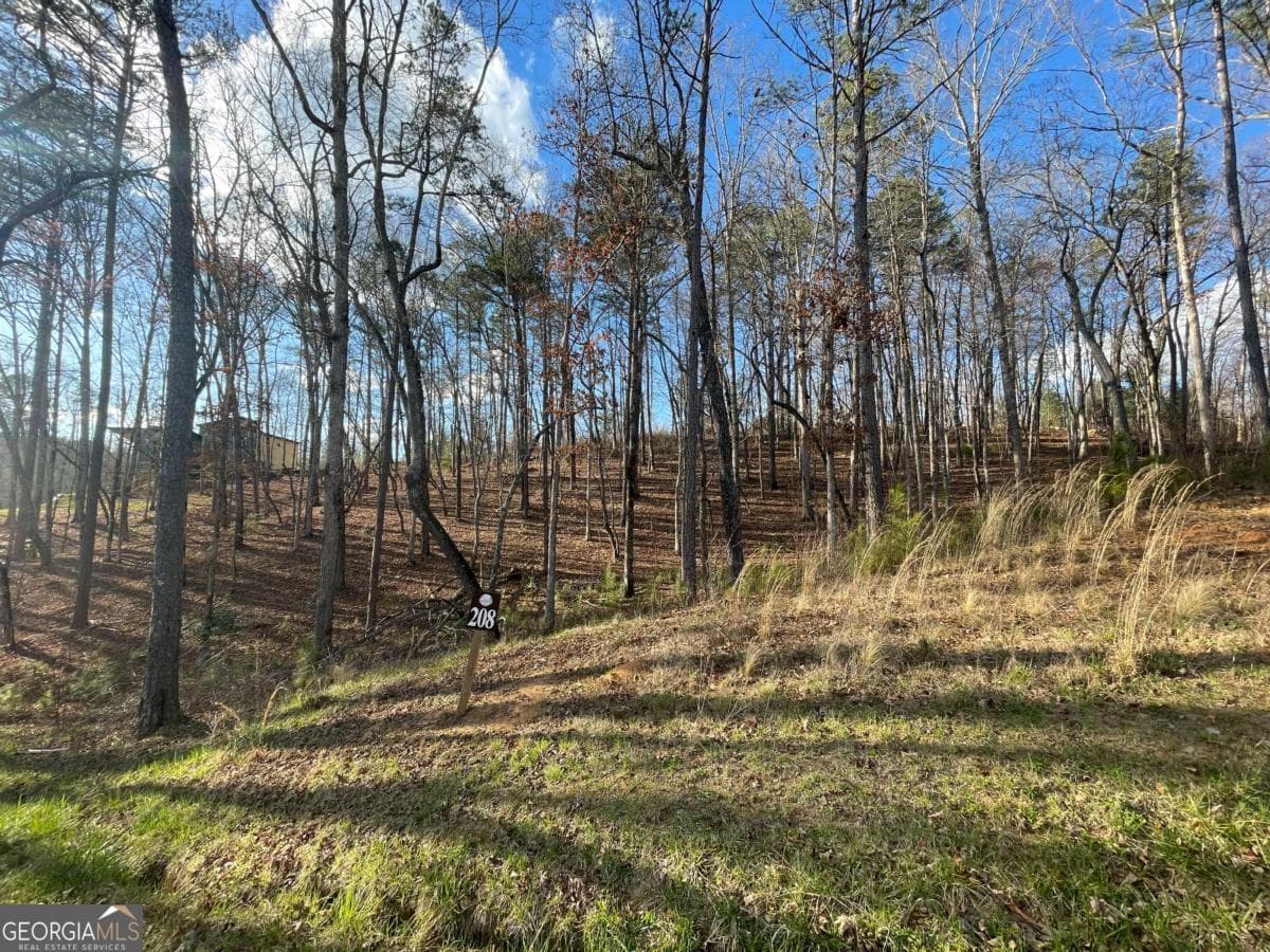 residential lot for sale at LOT# 208 Pinnacle Drive 208, Ellijay, GA 30540 — photo 2