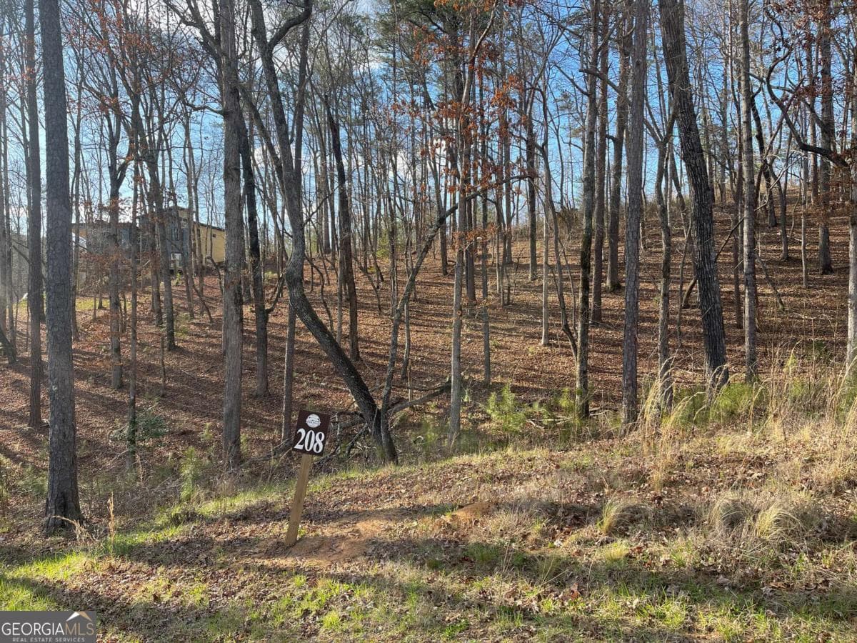 residential lot for sale at LOT# 208 Pinnacle Drive 208, Ellijay, GA 30540 — photo 6