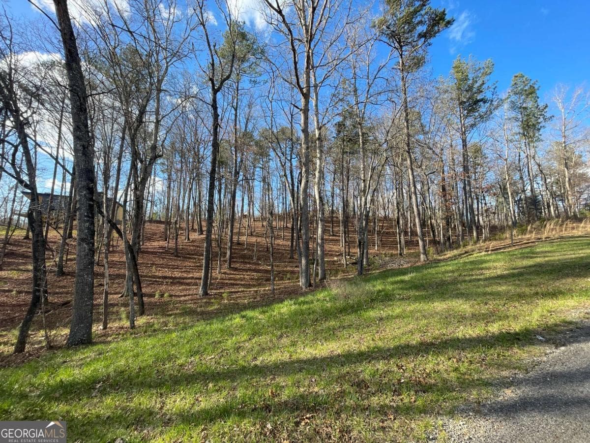 residential lot for sale at LOT# 208 Pinnacle Drive 208, Ellijay, GA 30540 — photo 7