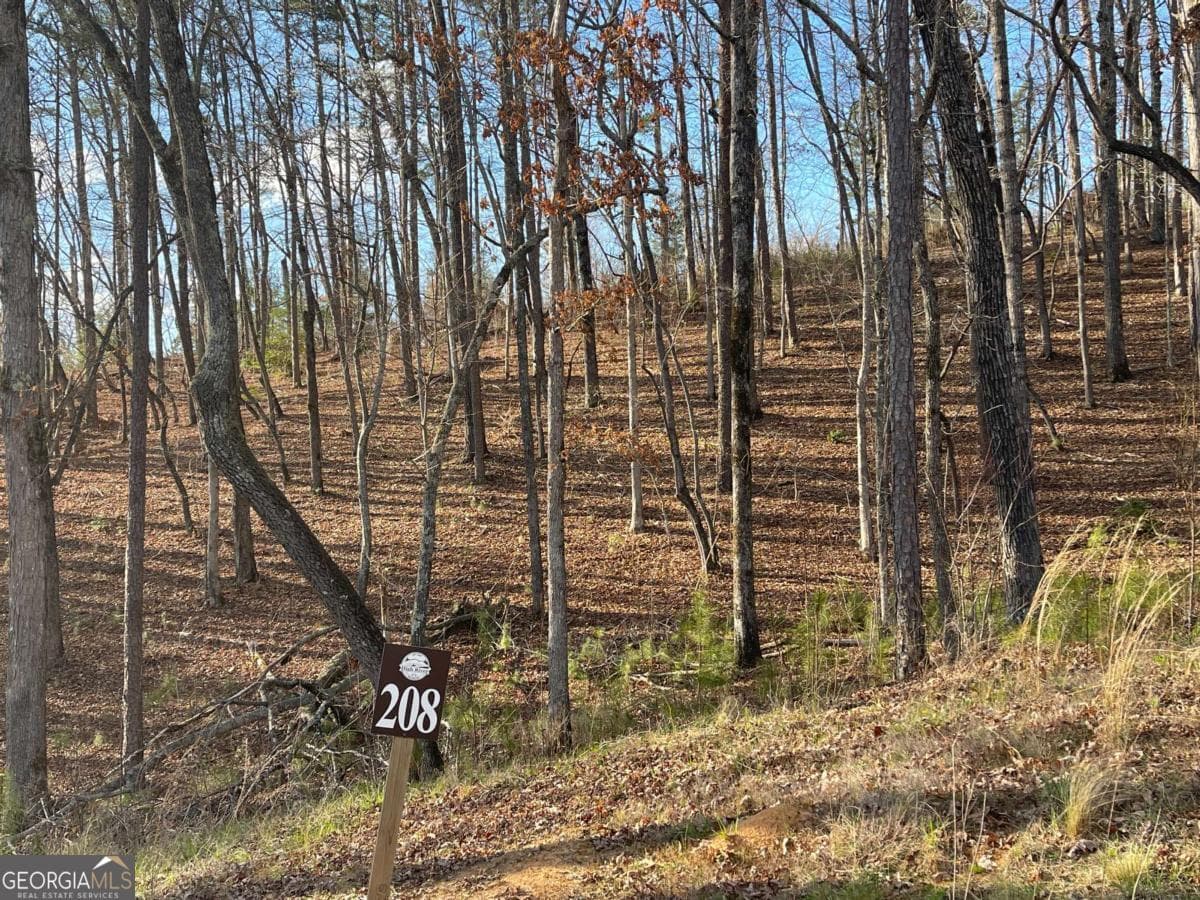 residential lot for sale at LOT# 208 Pinnacle Drive 208, Ellijay, GA 30540 — photo 3