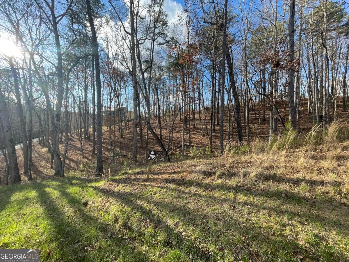 residential lot for sale at LOT# 208 Pinnacle Drive 208, Ellijay, GA 30540 — photo 5