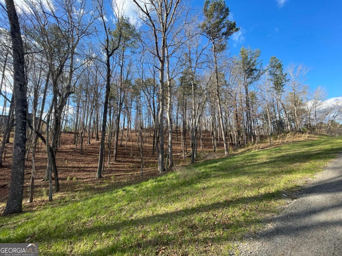residential lot for sale at LOT# 208 Pinnacle Drive 208, Ellijay, GA 30540 — photo 9