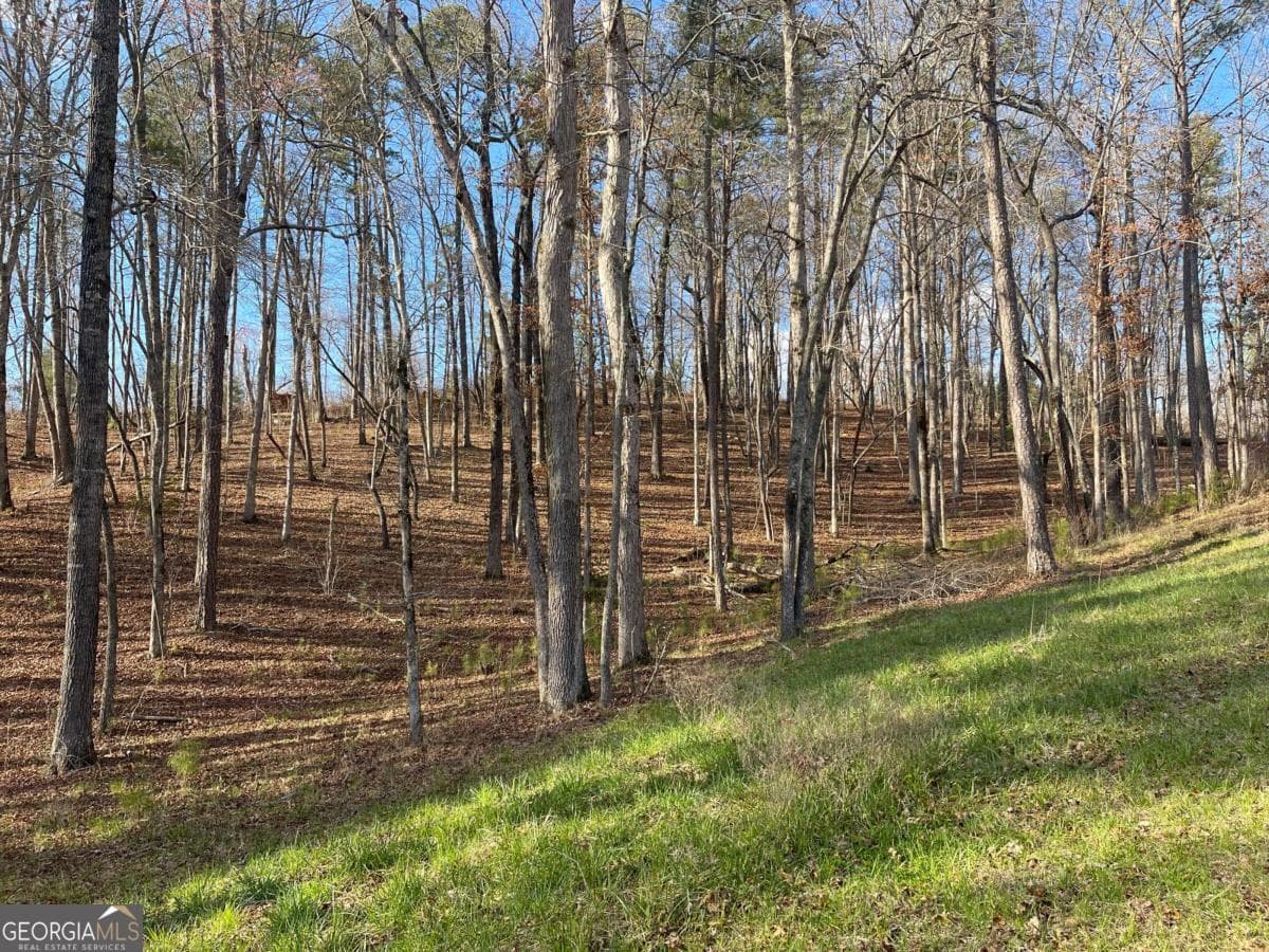 residential lot for sale at LOT# 208 Pinnacle Drive 208, Ellijay, GA 30540 — photo 10