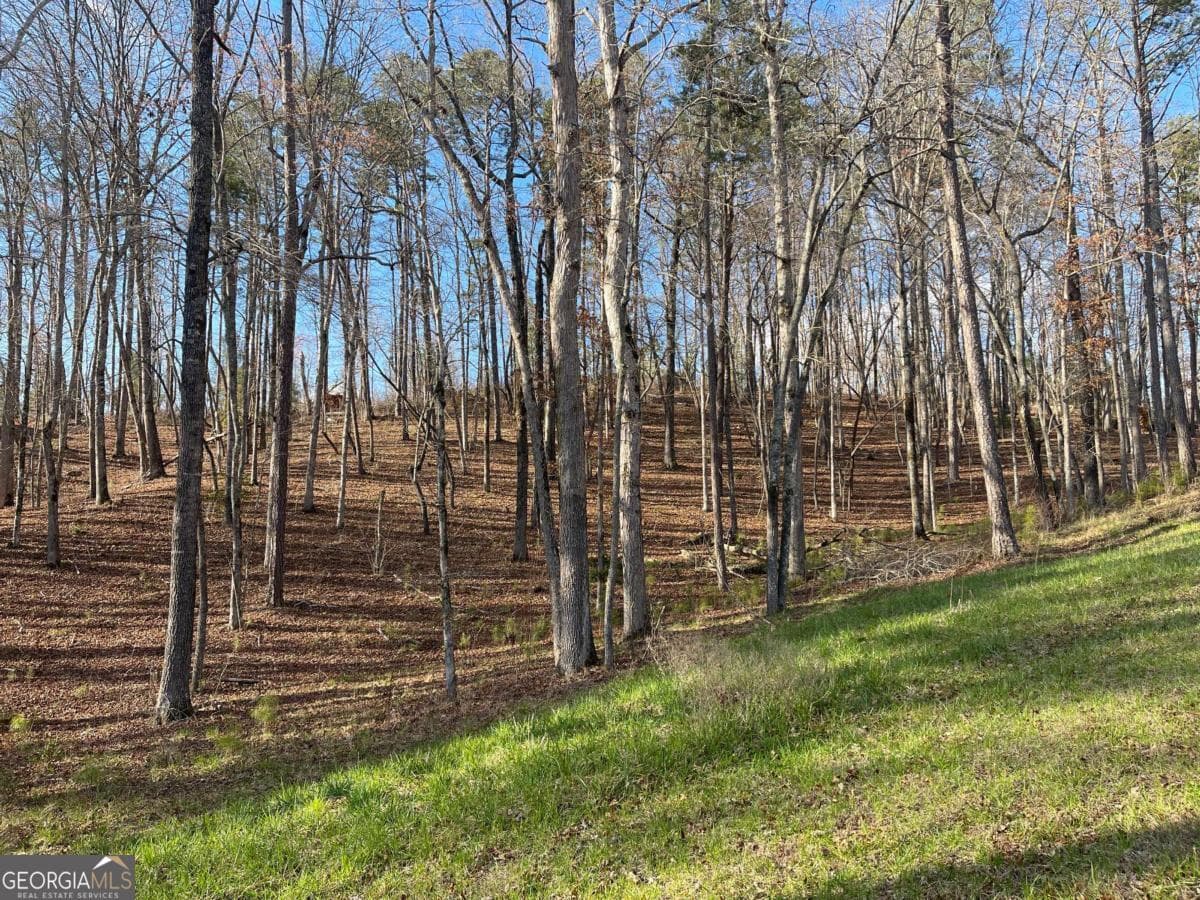 residential lot for sale at LOT# 208 Pinnacle Drive 208, Ellijay, GA 30540 — photo 8