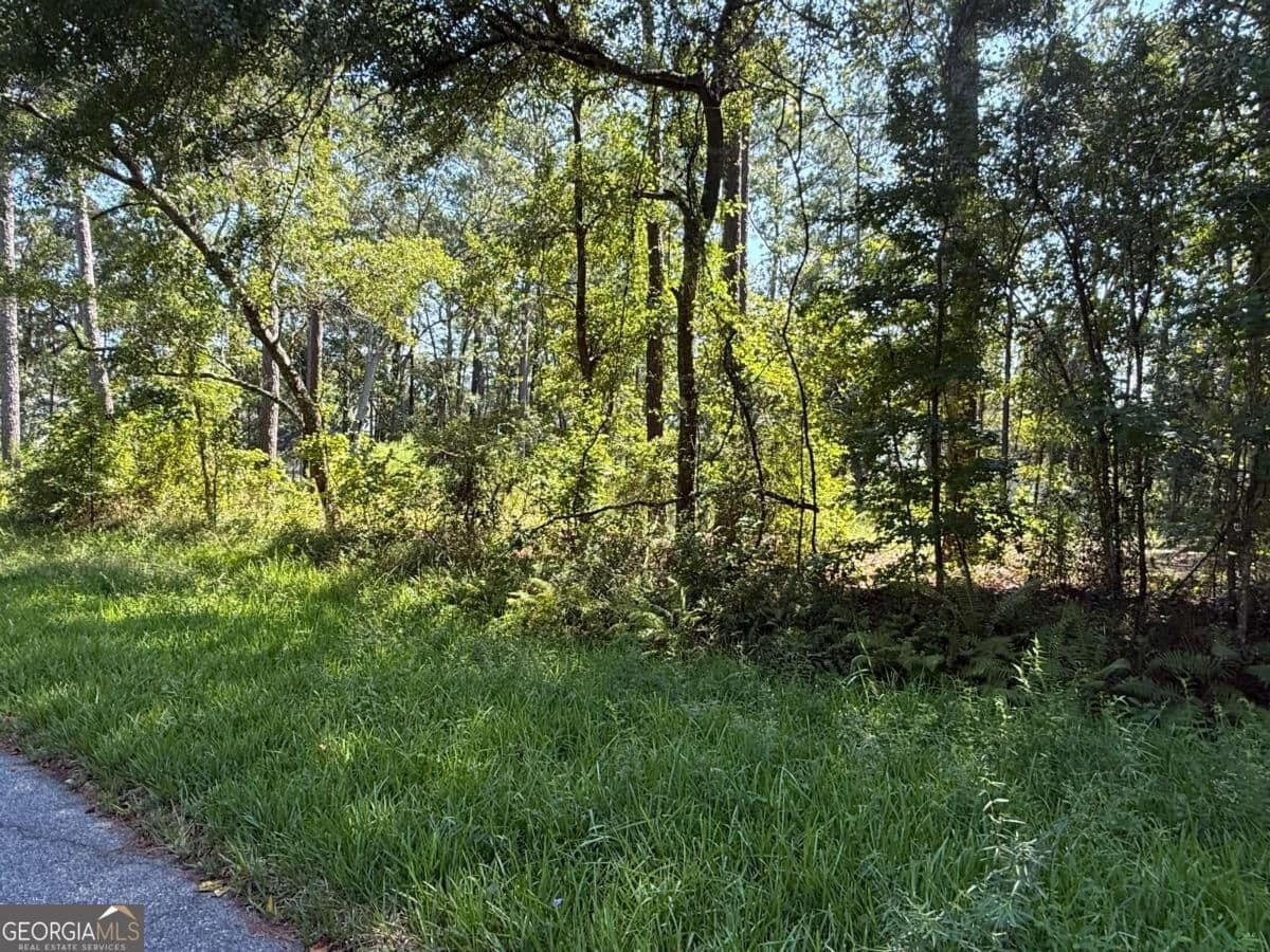 residential lot for sale at 129 Sutherland Drive, Brunswick, GA 31525 — photo 2