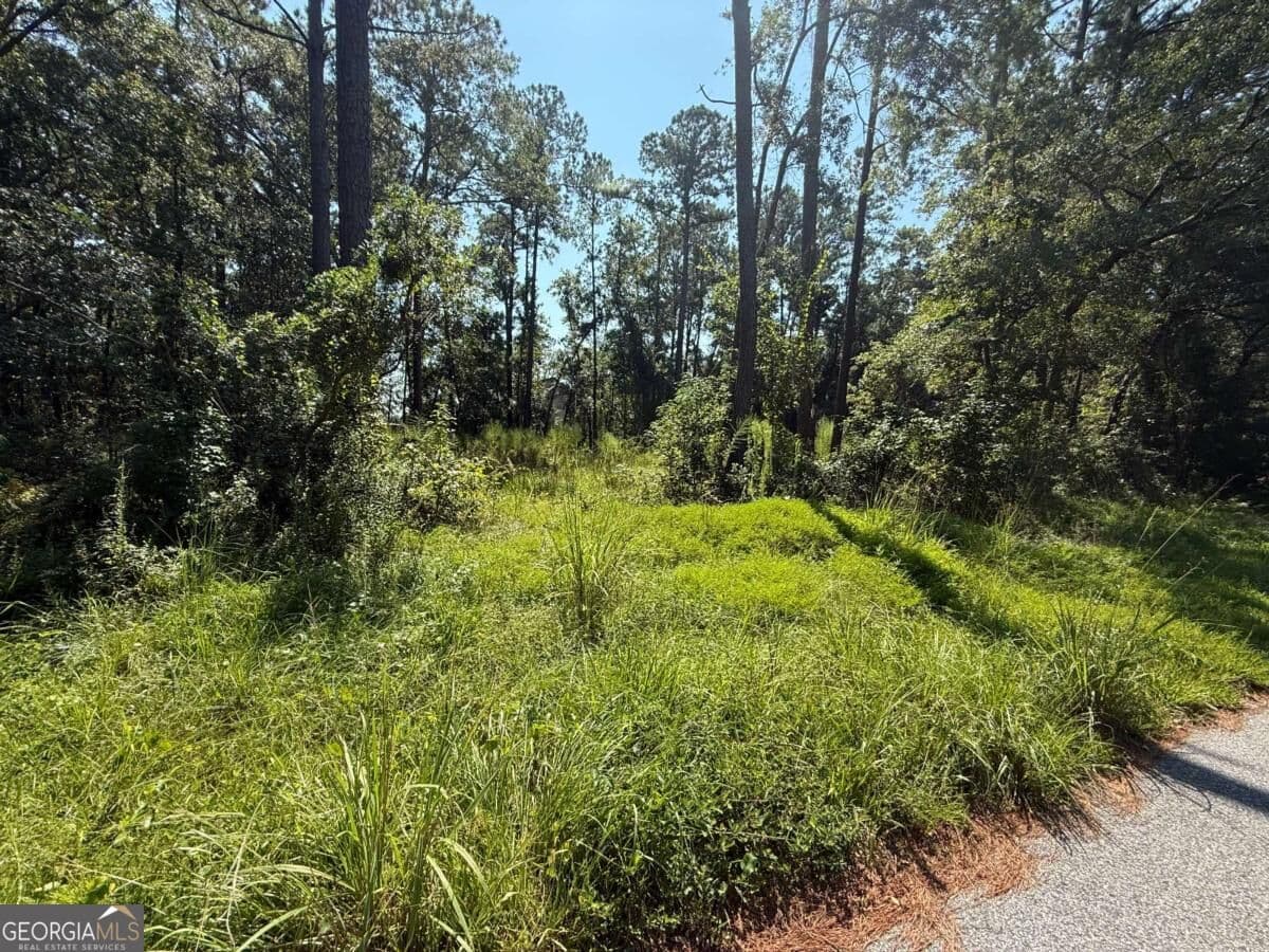 residential lot for sale at 129 Sutherland Drive, Brunswick, GA 31525 — photo 6