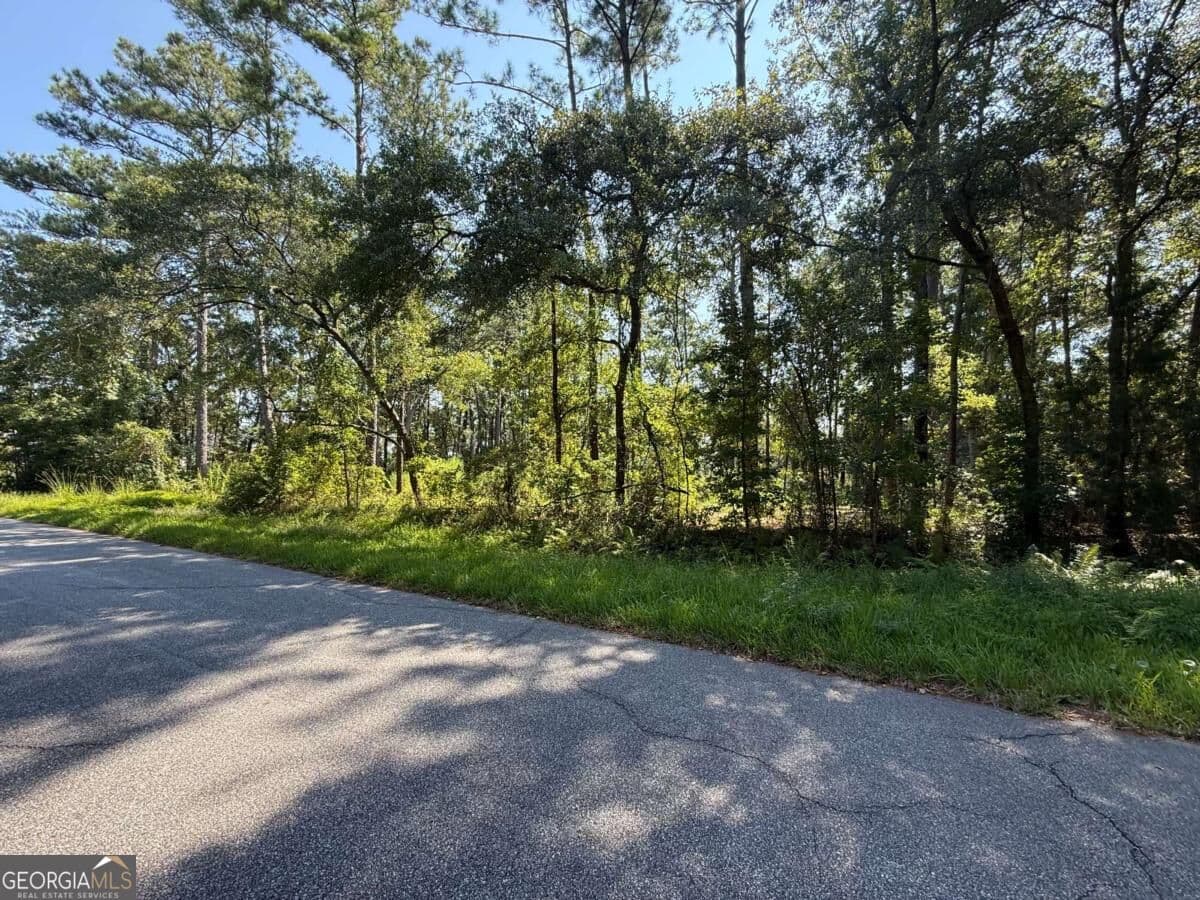 residential lot for sale at 129 Sutherland Drive, Brunswick, GA 31525 — photo 3