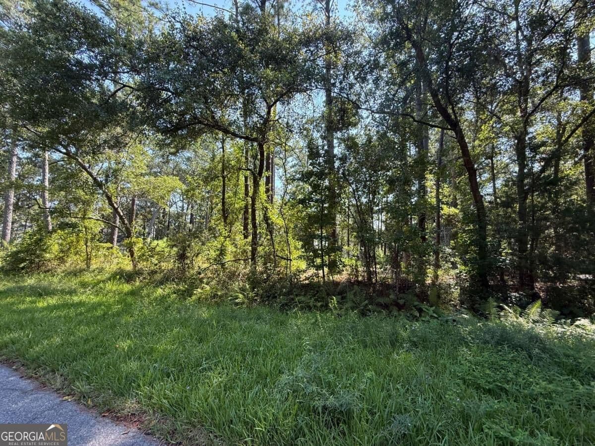 residential lot for sale at 129 Sutherland Drive, Brunswick, GA 31525 — photo 1 of 9