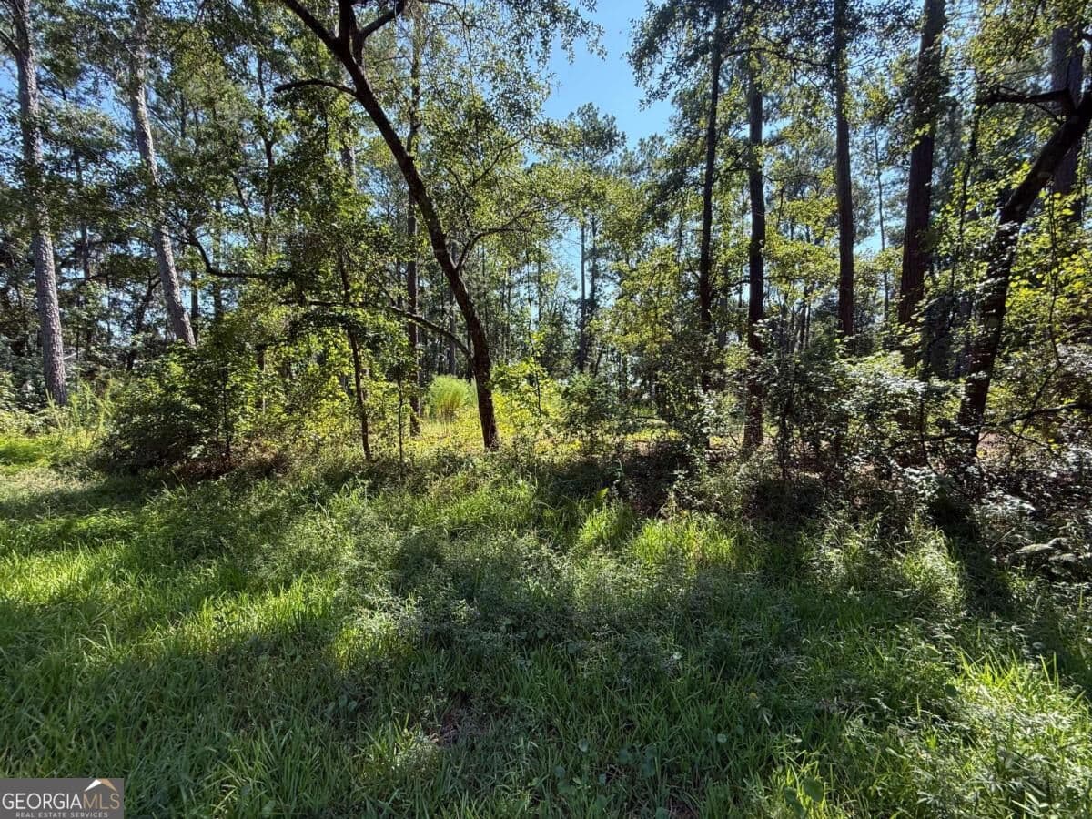 residential lot for sale at 129 Sutherland Drive, Brunswick, GA 31525 — photo 5