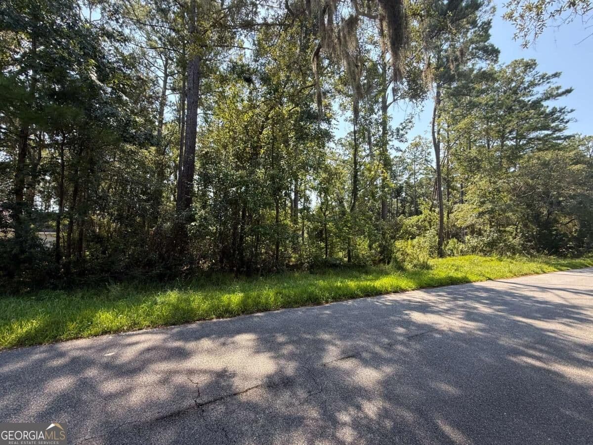 residential lot for sale at 129 Sutherland Drive, Brunswick, GA 31525 — photo 9