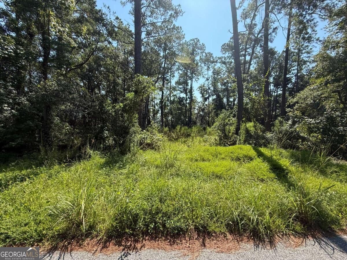 residential lot for sale at 129 Sutherland Drive, Brunswick, GA 31525 — photo 4