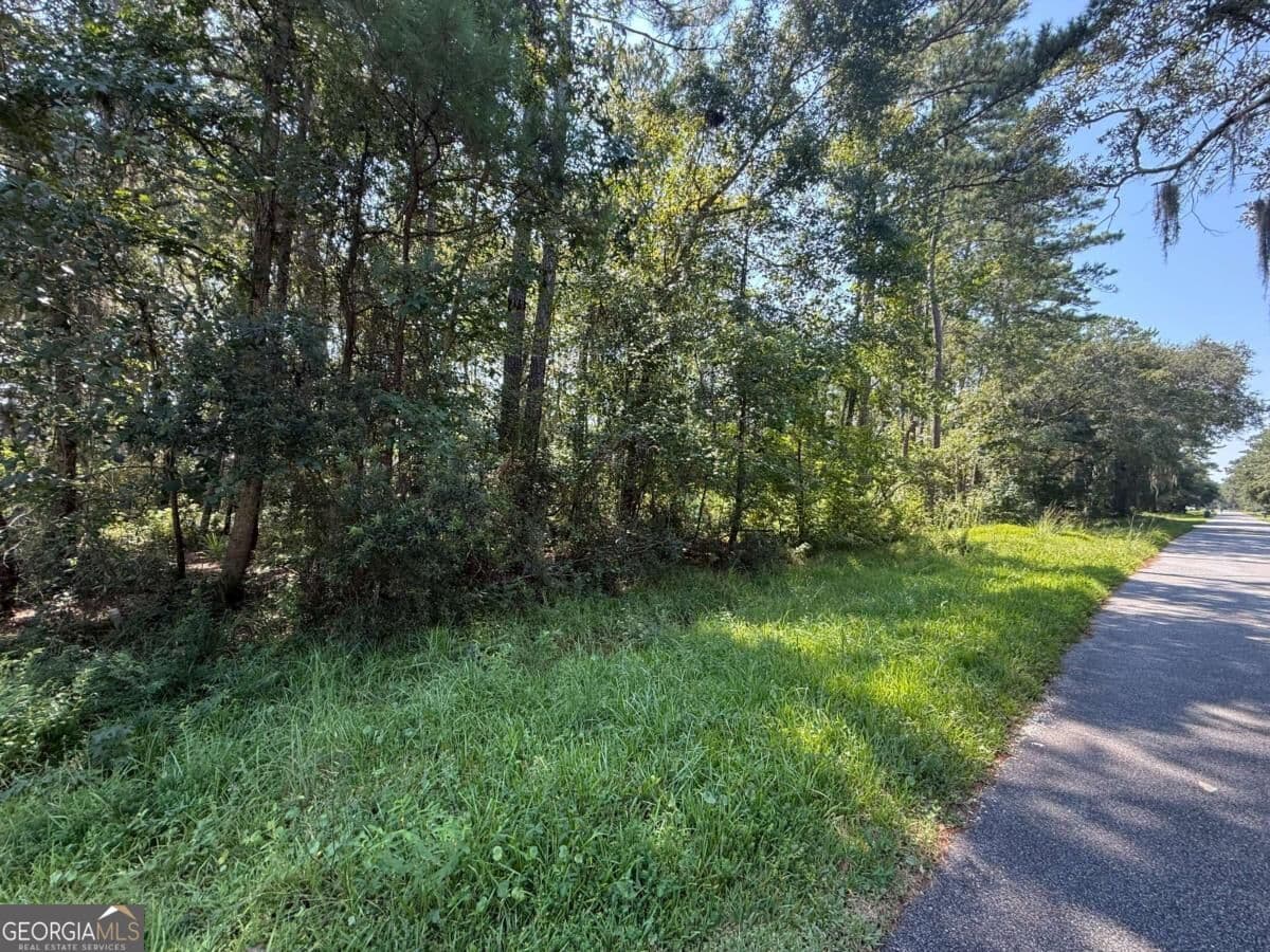 residential lot for sale at 129 Sutherland Drive, Brunswick, GA 31525 — photo 8