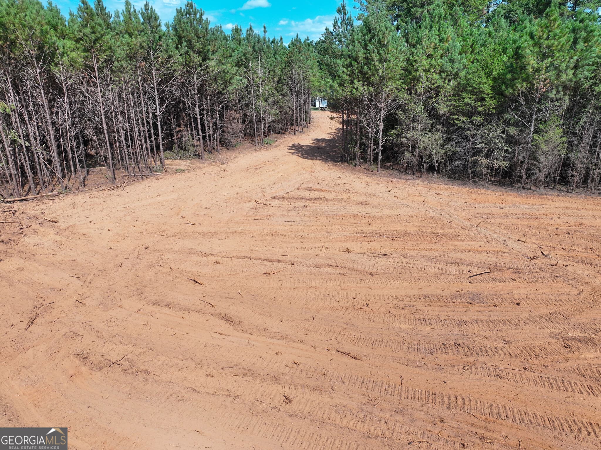 unimproved land for sale at 0 Cashtown Road TRACT 4, Aragon, GA 30104 — photo 4