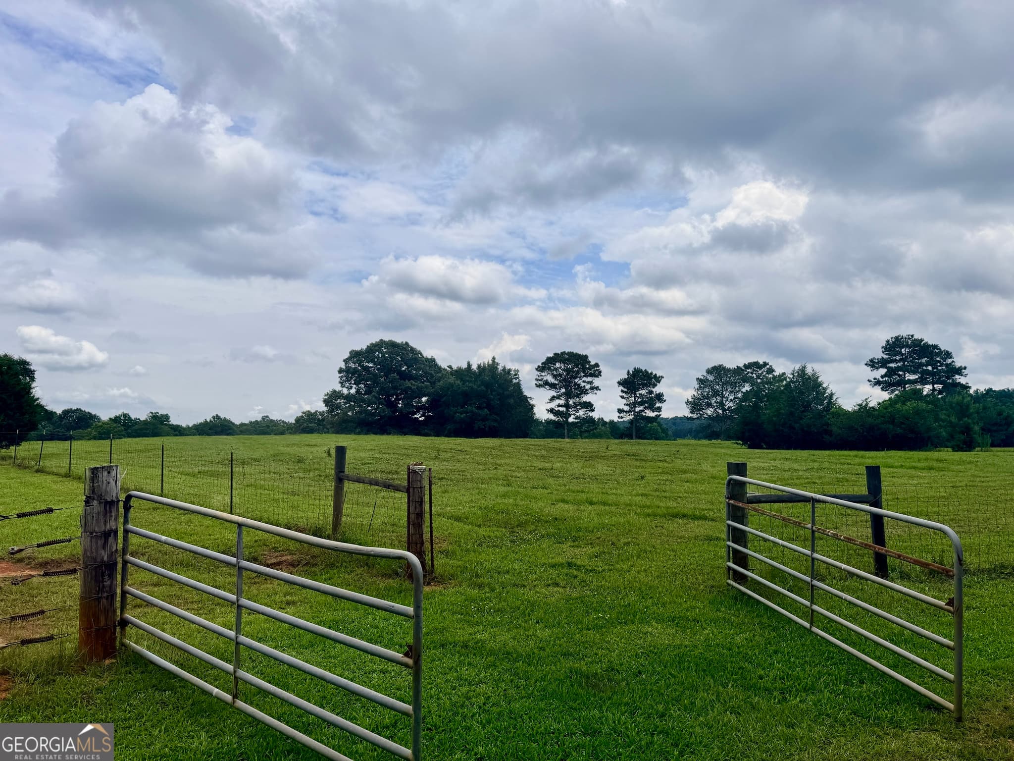 agriculture for sale at 11190 Treadwell Road, Forsyth, GA 31029 — photo 2