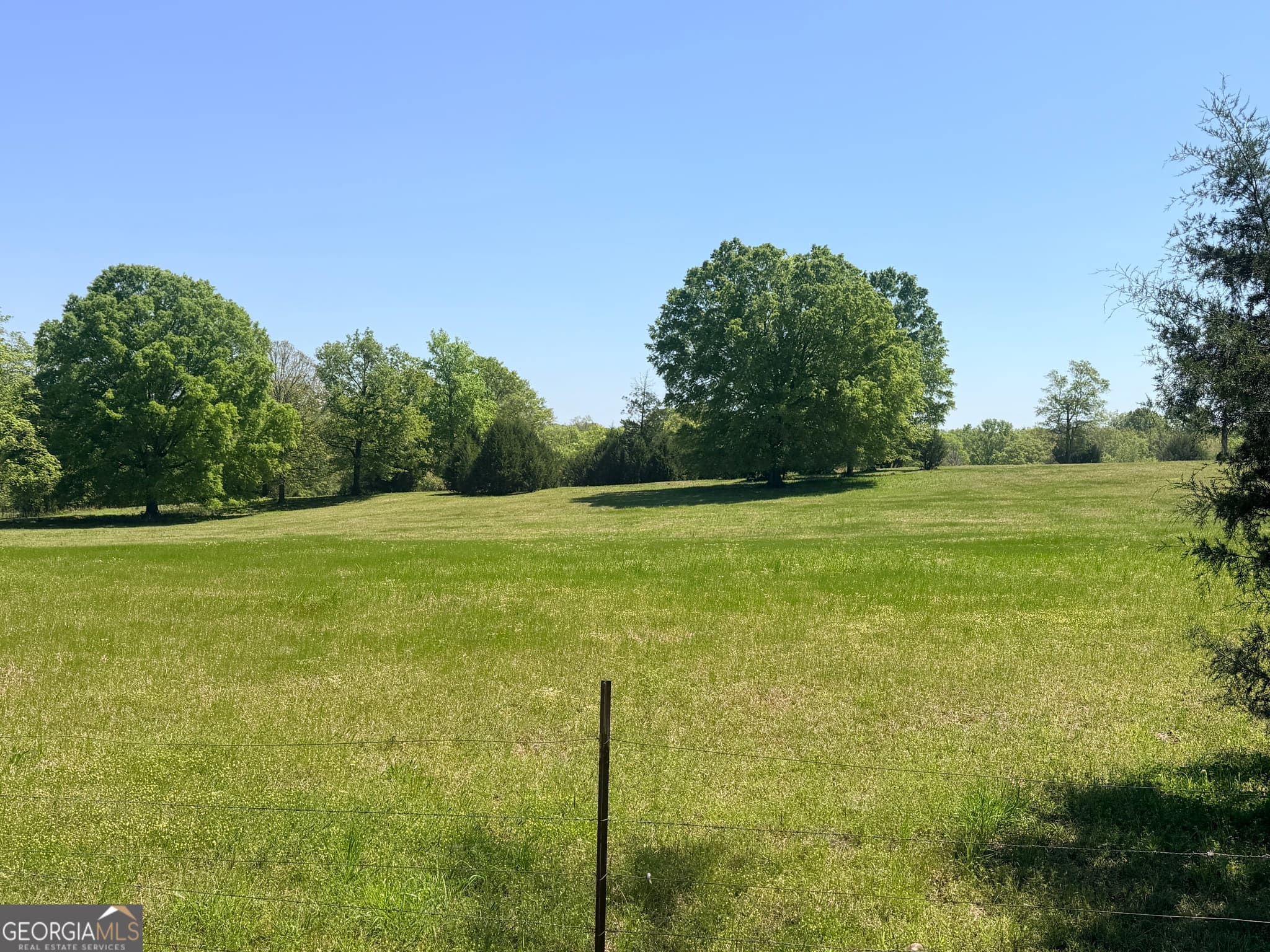 agriculture for sale at 11190 Treadwell Road, Forsyth, GA 31029 — photo 7