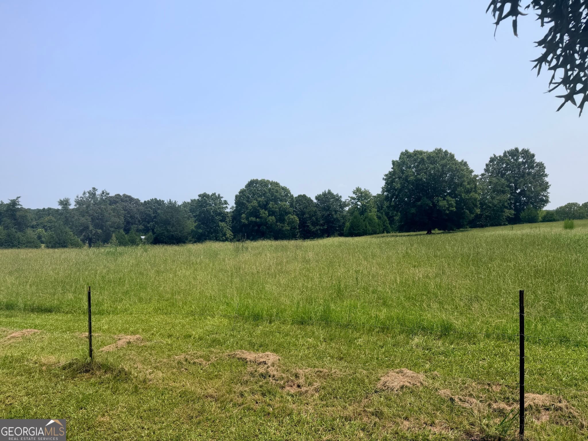 agriculture for sale at 11190 Treadwell Road, Forsyth, GA 31029 — photo 3