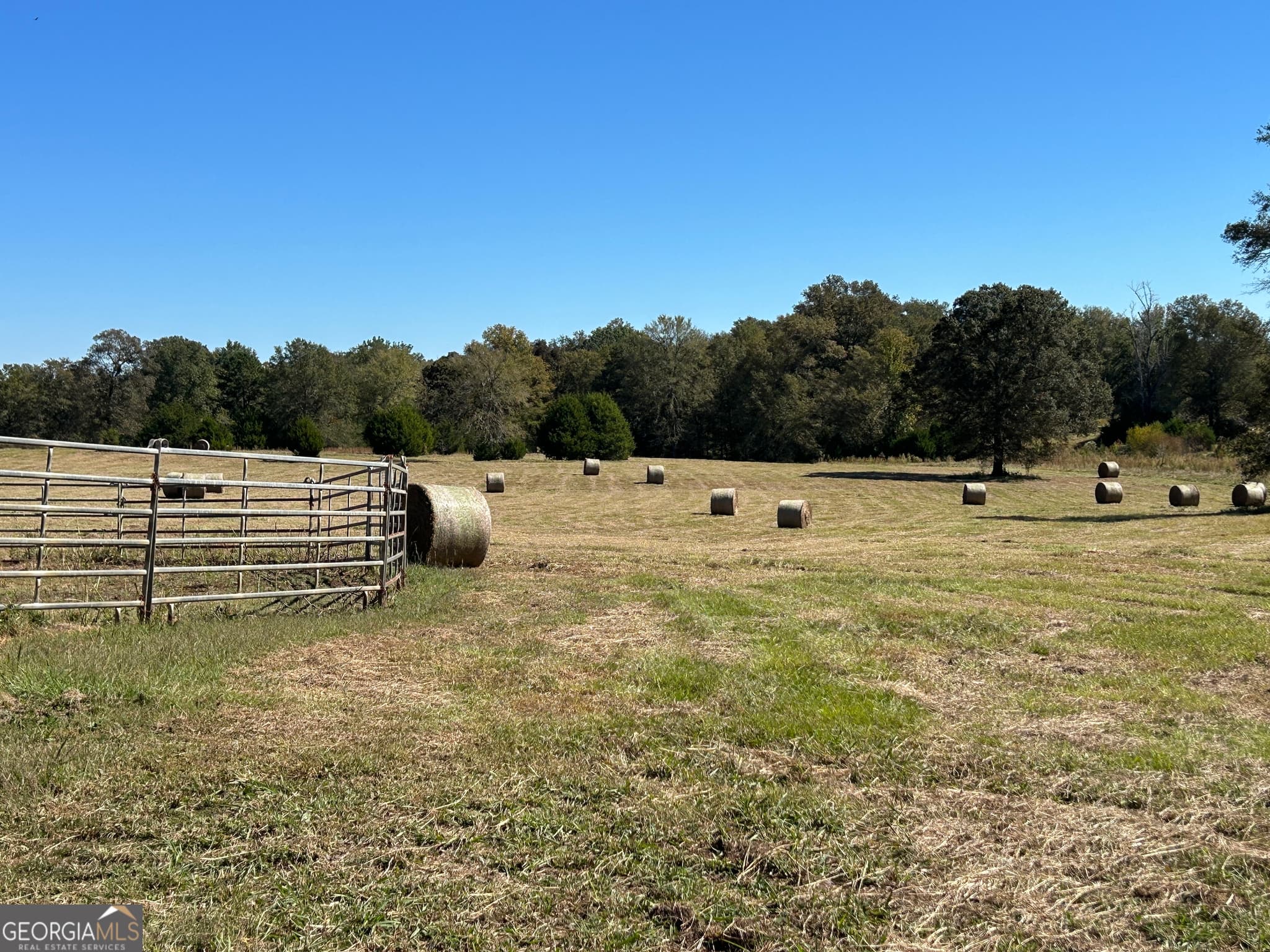 agriculture for sale at 11190 Treadwell Road, Forsyth, GA 31029 — photo 9