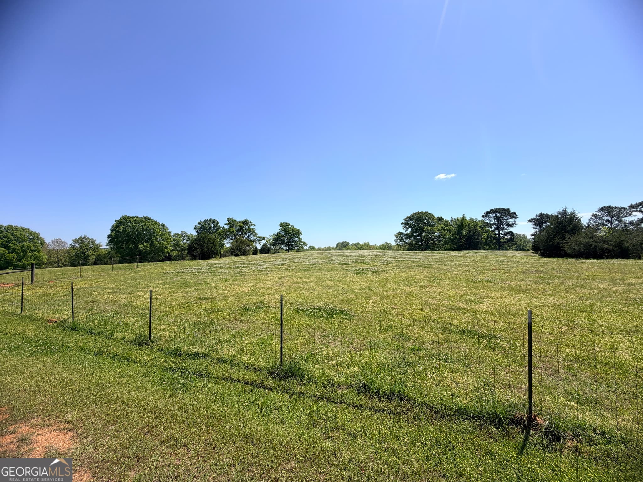 agriculture for sale at 11190 Treadwell Road, Forsyth, GA 31029 — photo 10