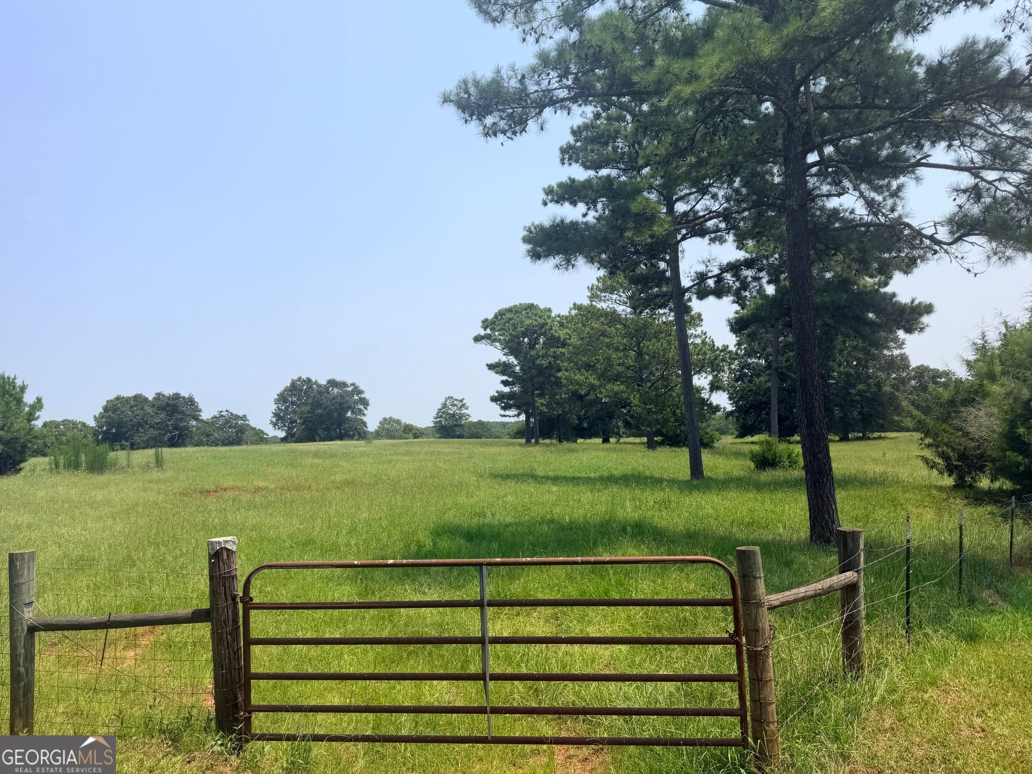 agriculture for sale at 11190 Treadwell Road, Forsyth, GA 31029 — photo 4