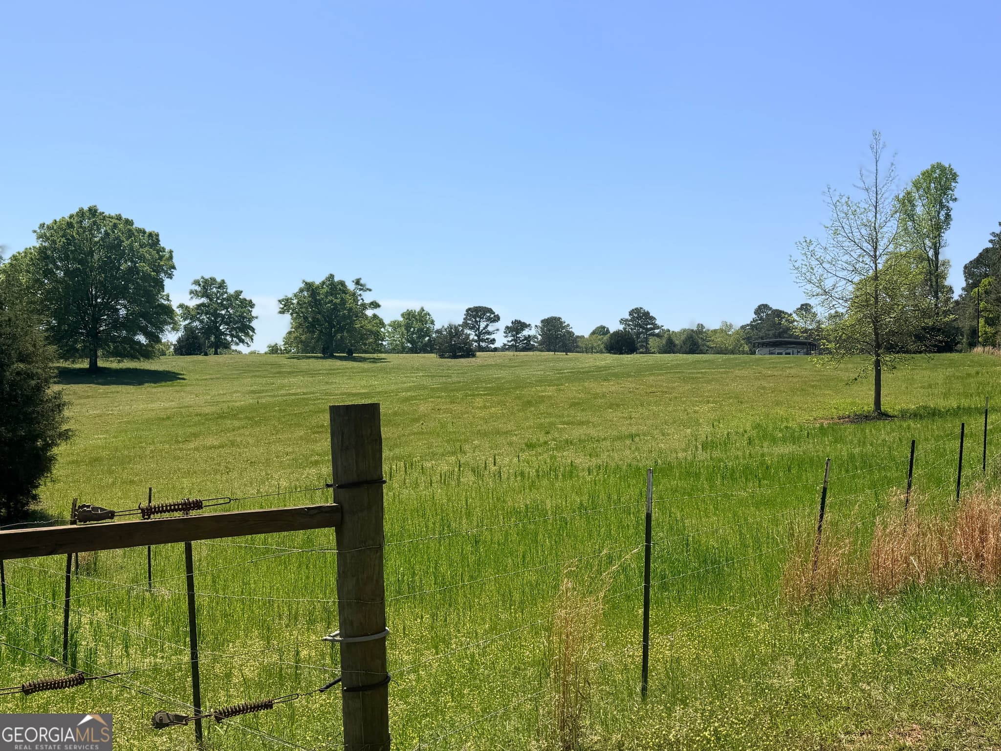 agriculture for sale at 11190 Treadwell Road, Forsyth, GA 31029 — photo 8