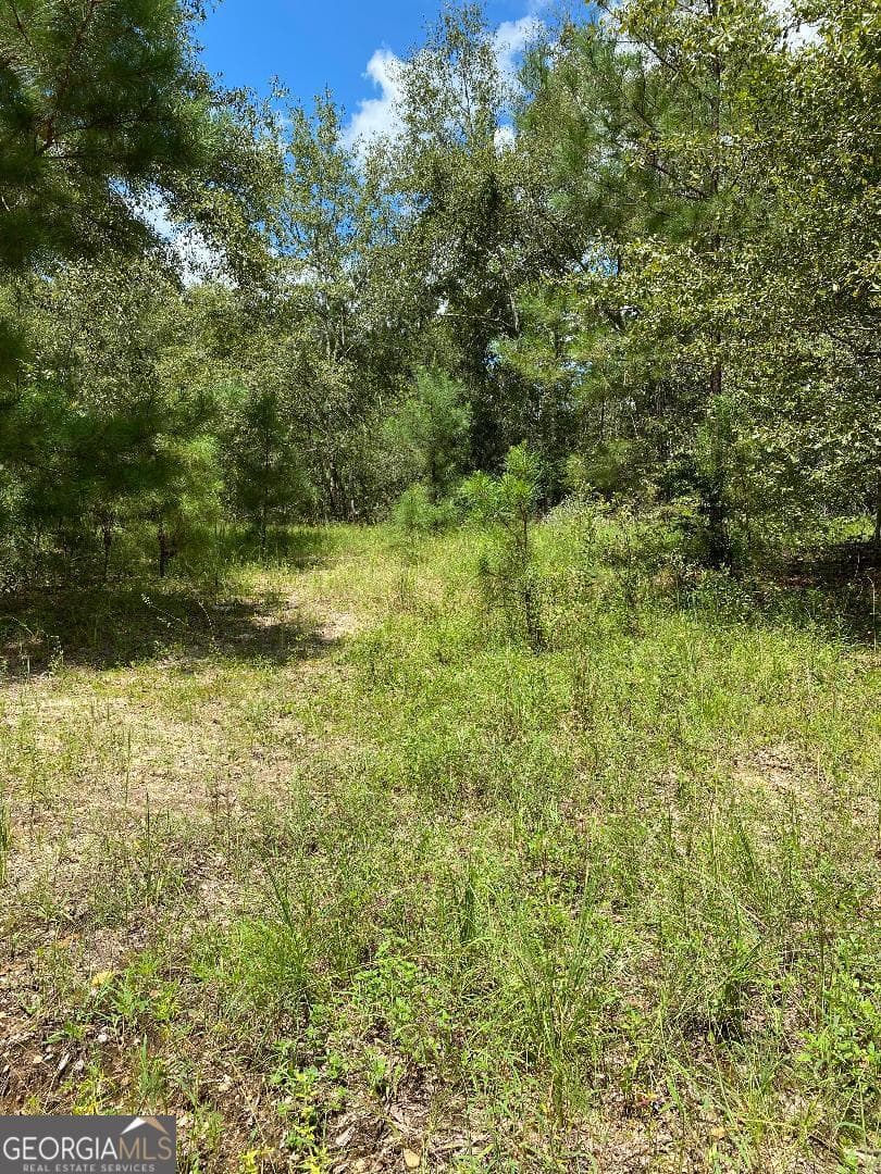 residential lot for sale at 0 Mt Zion Church Road, Garfield, GA 30425 — photo 2