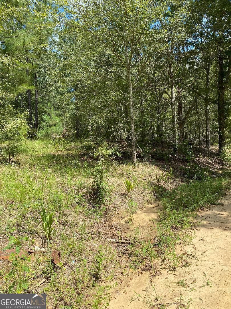 residential lot for sale at 0 Mt Zion Church Road, Garfield, GA 30425 — photo 3