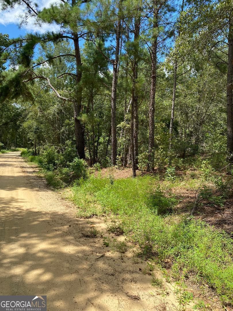 residential lot for sale at 0 Mt Zion Church Road, Garfield, GA 30425