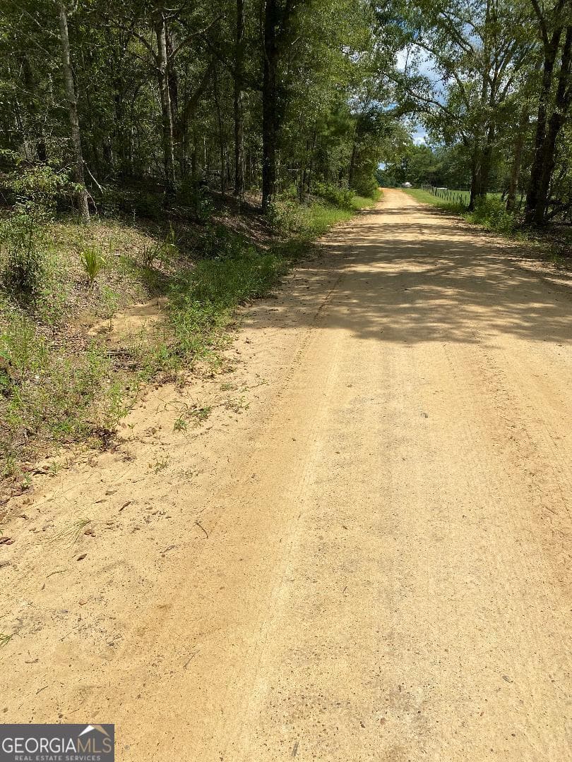 residential lot for sale at 0 Mt Zion Church Road, Garfield, GA 30425 — photo 4