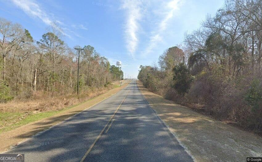 unimproved land for sale at 0 Jim Hammock Drive, Mcrae-Helena, GA 31055 — photo 2