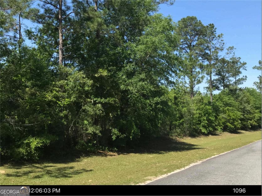 unimproved land for sale at 0 Jim Hammock Drive, Mcrae-Helena, GA 31055 — photo 3