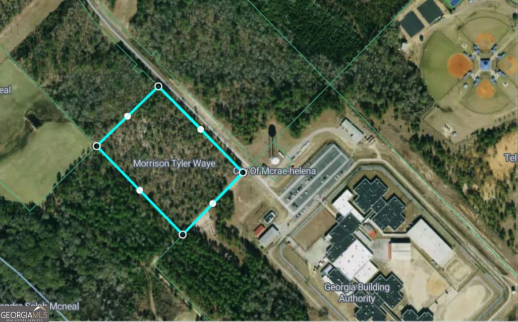unimproved land for sale at 0 Jim Hammock Drive, Mcrae-Helena, GA 31055