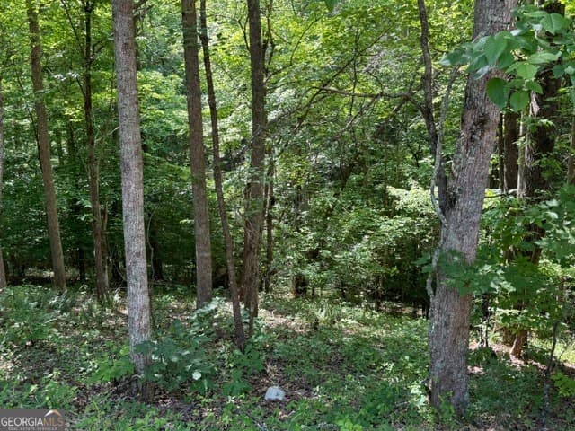 unimproved land for sale at 4.6 AC Cherry Grove, Ball Ground, GA 30107 — photo 2