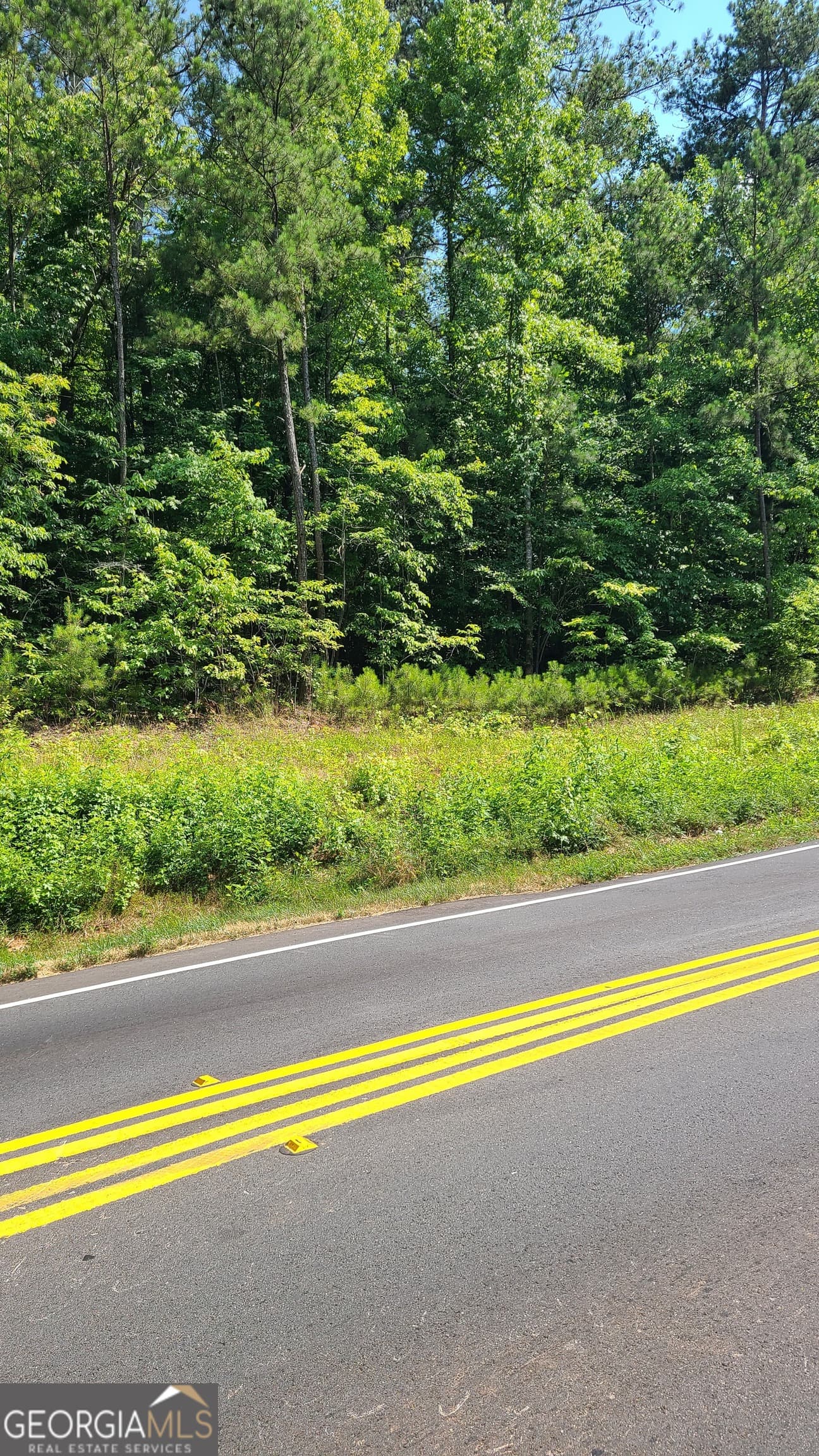 unimproved land for sale at 0 Stewart Mill Road, Douglasville, GA 30135 — photo 10