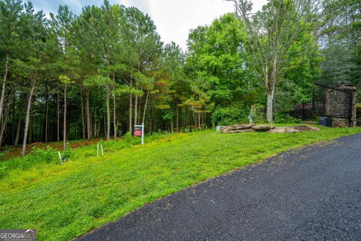 residential lot for sale at 0 Roaring Forks Lane, Ellijay, GA 30540 — photo 2