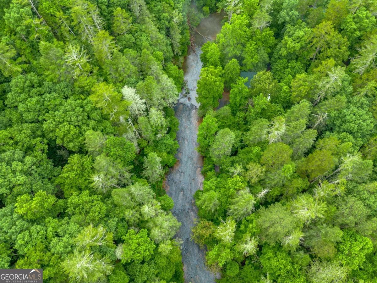 residential lot for sale at 0 Roaring Forks Lane, Ellijay, GA 30540 — photo 3